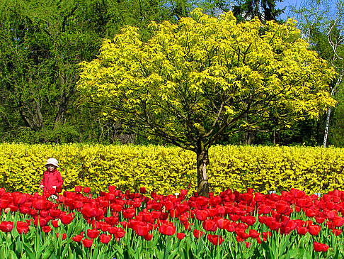 Botanischer Garten Bild von Citysam  